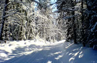 vacance motoneige sentier Canada