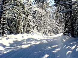vacance motoneige sentier